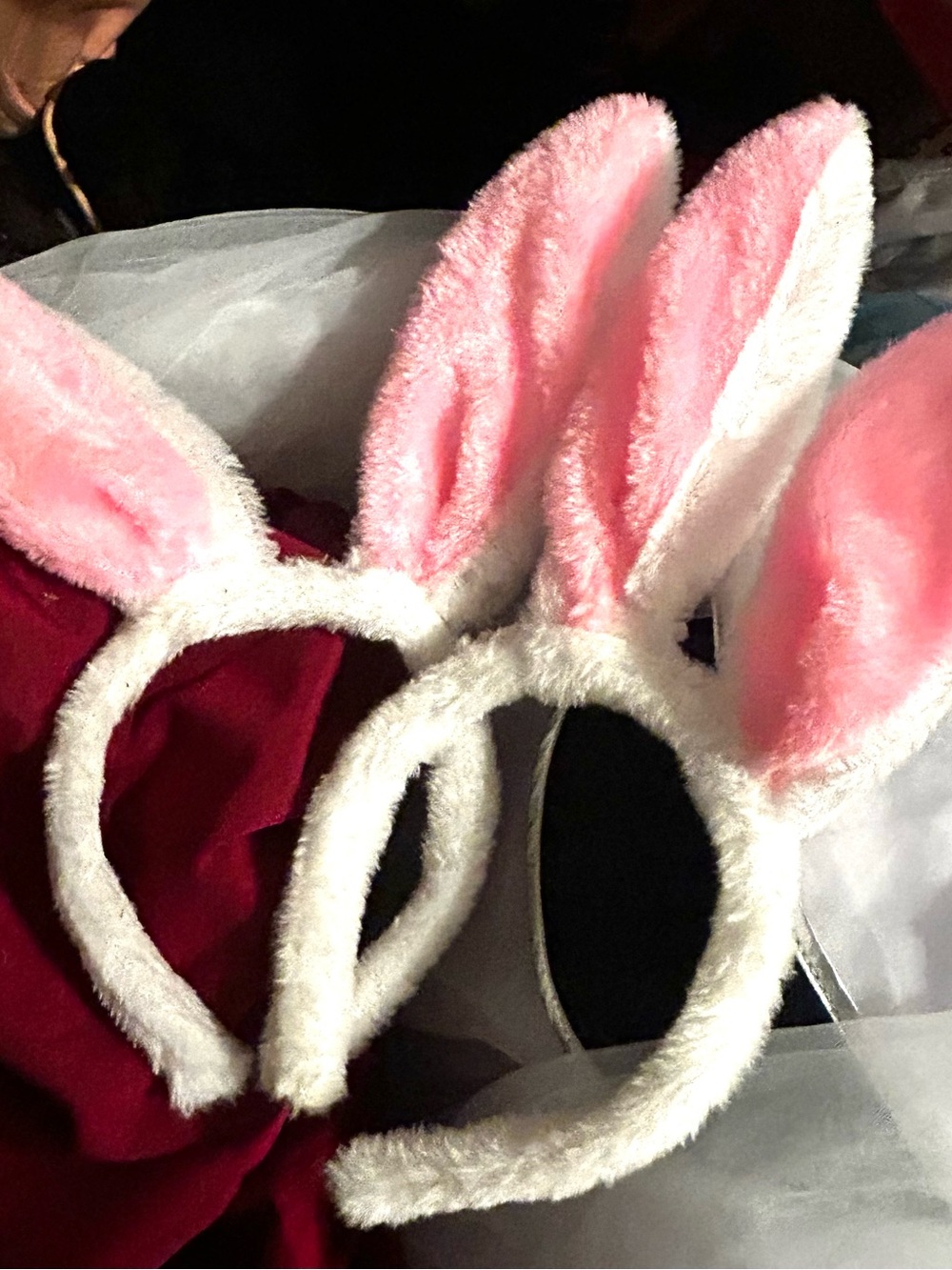 Pair of bunny, ear headbands